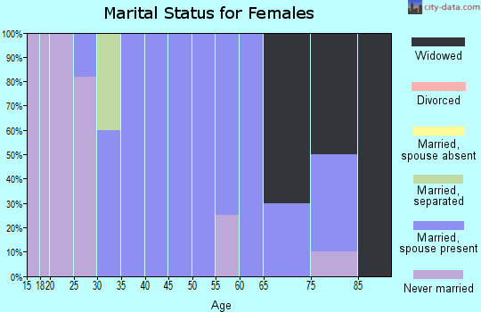 Zip code 17829 marital status for females