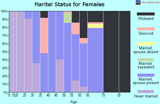 Zip code 17832 marital status for females