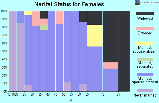 Zip code 17860 marital status for females