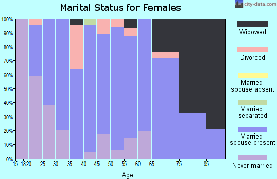 Zip code 17864 marital status for females
