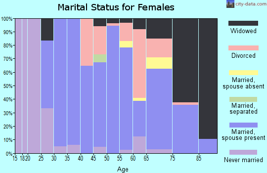 Zip code 17878 marital status for females
