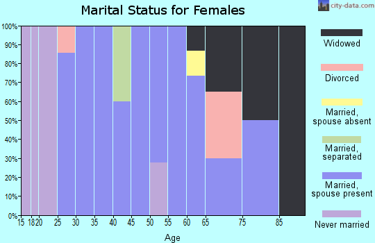 Zip code 17920 marital status for females