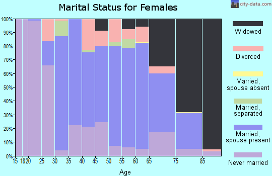 Zip code 17921 marital status for females