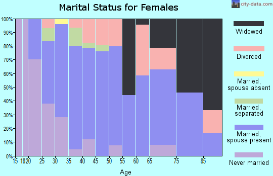 Zip code 17929 marital status for females