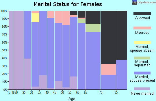 Zip code 17938 marital status for females