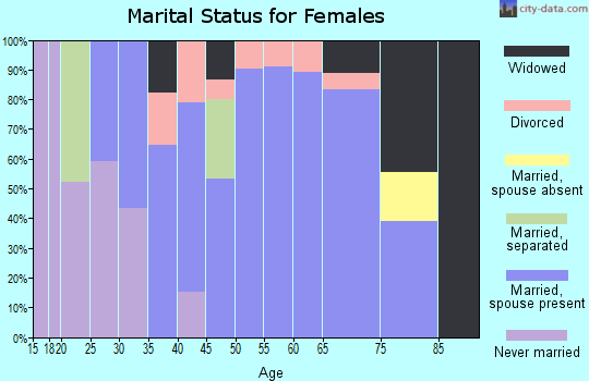 Zip code 17941 marital status for females