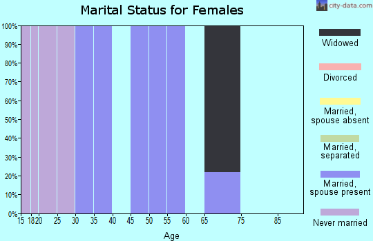 Zip code 17944 marital status for females