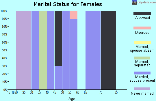 Zip code 17945 marital status for females