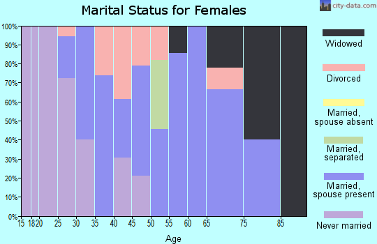 Zip code 17953 marital status for females