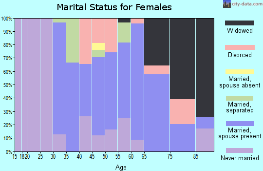 Zip code 17959 marital status for females