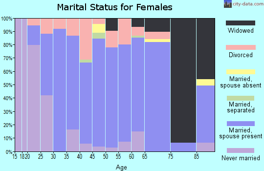 Zip code 17960 marital status for females