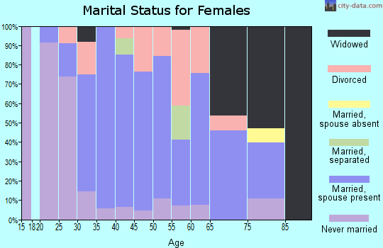 Zip code 17965 marital status for females