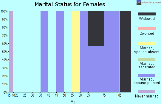 Zip code 17974 marital status for females