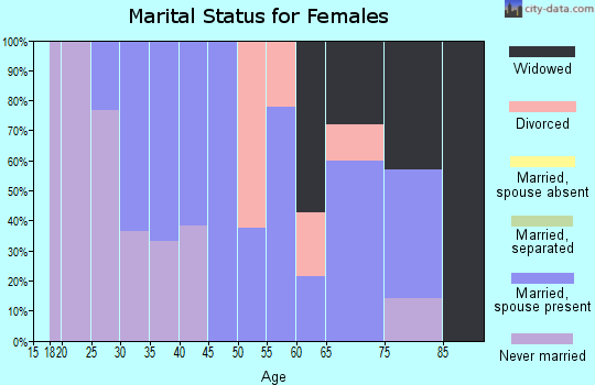 Zip code 17982 marital status for females