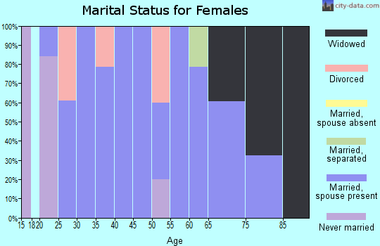 Zip code 18083 marital status for females