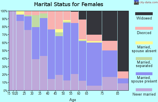 Zip code 18651 marital status for females