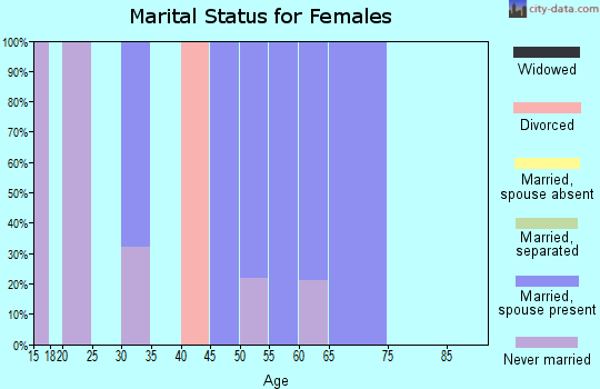 Zip code 18842 marital status for females