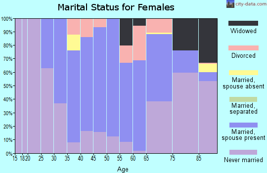 Zip code 19031 marital status for females