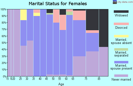 Zip code 19066 marital status for females