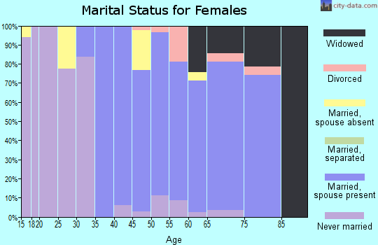 Zip code 19085 marital status for females