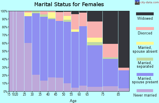 Zip code 19096 marital status for females