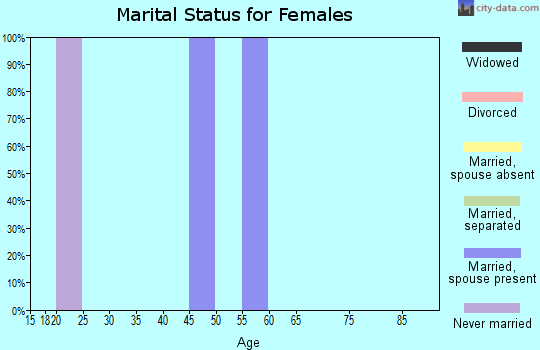 Zip code 19316 marital status for females