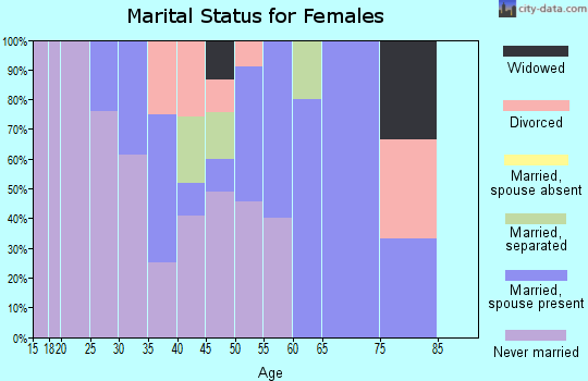 Zip code 19358 marital status for females