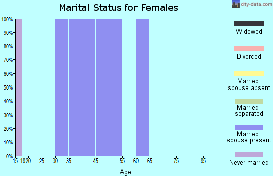 Zip code 19421 marital status for females