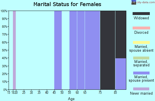 Zip code 19437 marital status for females