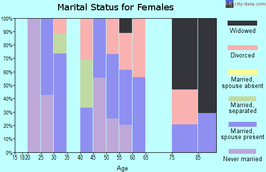 Zip code 19453 marital status for females