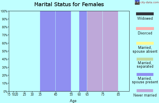 Zip code 19478 marital status for females