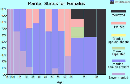Zip code 19501 marital status for females