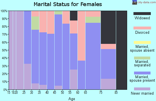 Zip code 19503 marital status for females