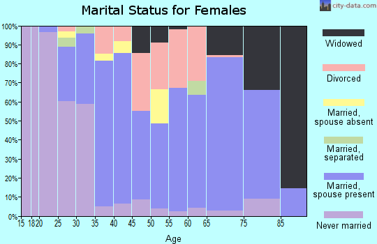 Zip code 19505 marital status for females