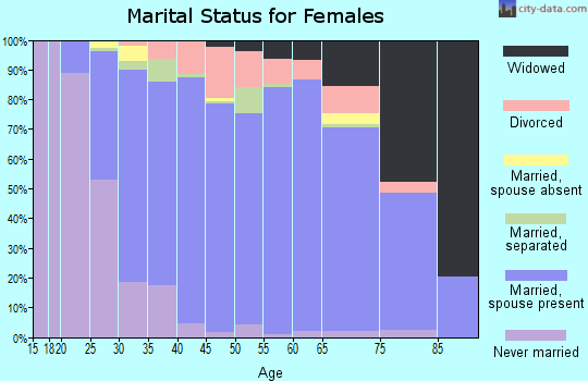 Zip code 19506 marital status for females