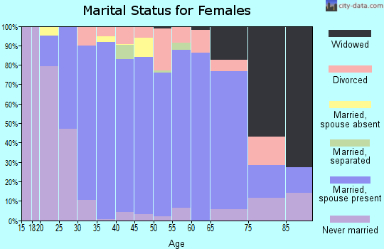 Zip code 19518 marital status for females