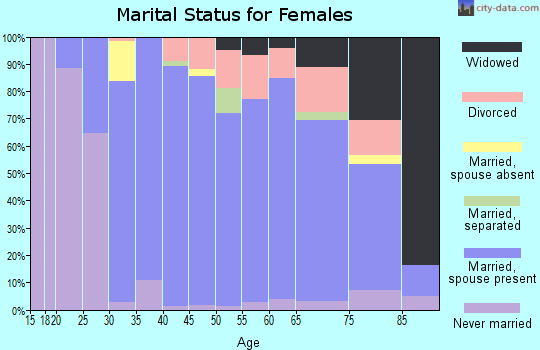 Zip code 19520 marital status for females