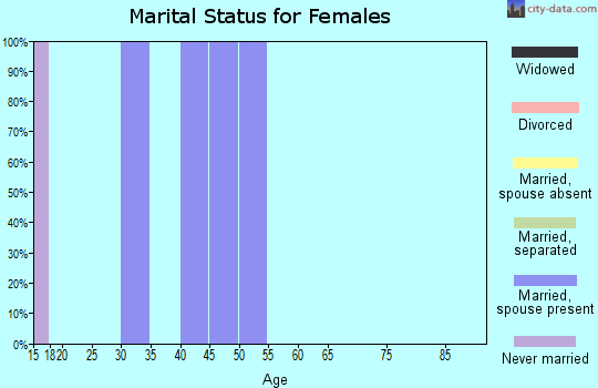 Zip code 19523 marital status for females