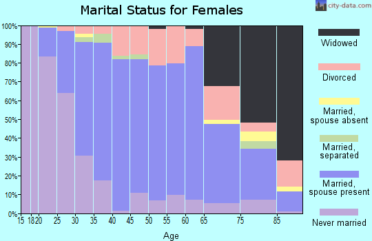 Zip code 19533 marital status for females