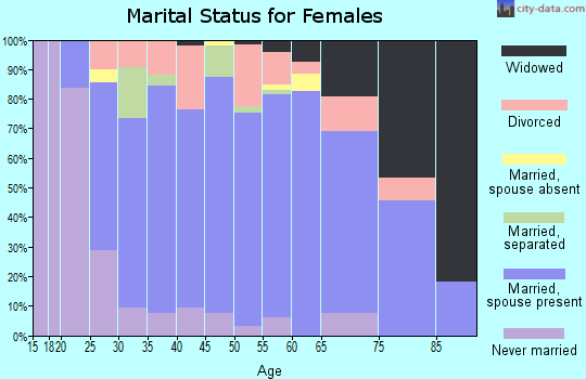 Zip code 19540 marital status for females