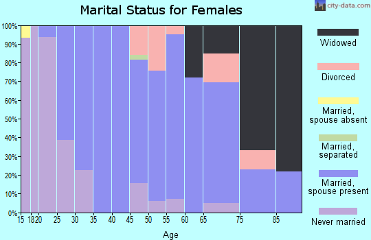 Zip code 19543 marital status for females