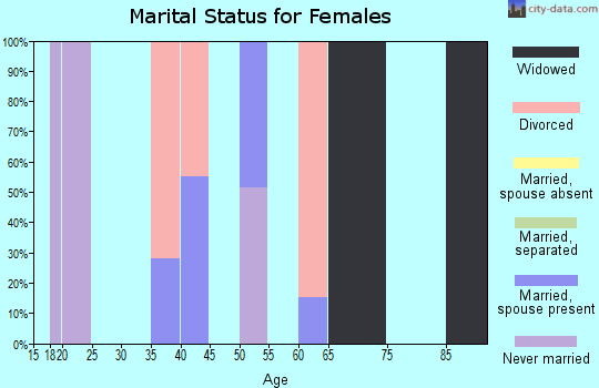 Zip code 19545 marital status for females