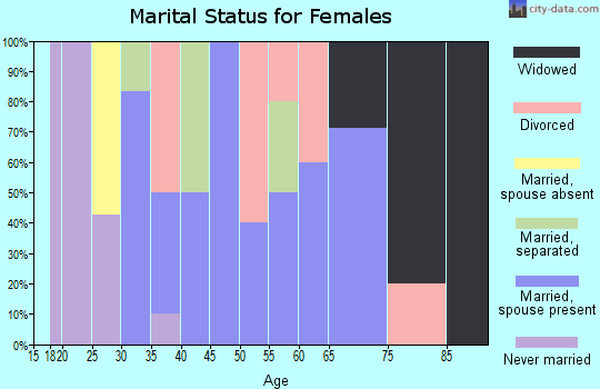Zip code 19549 marital status for females