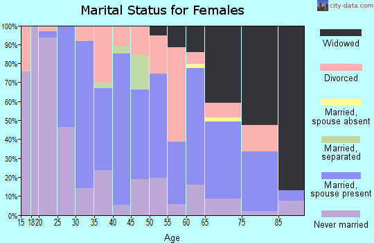 Zip code 19560 marital status for females