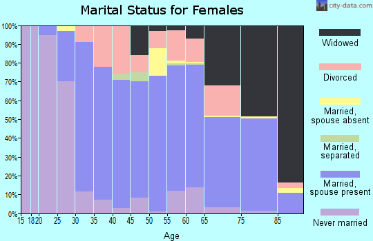 Zip code 19565 marital status for females