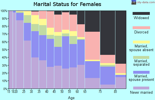 Zip code 19601 marital status for females