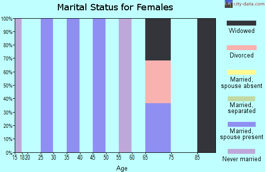 Zip code 19731 marital status for females