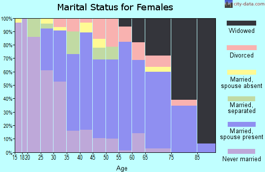 Zip code 19933 marital status for females