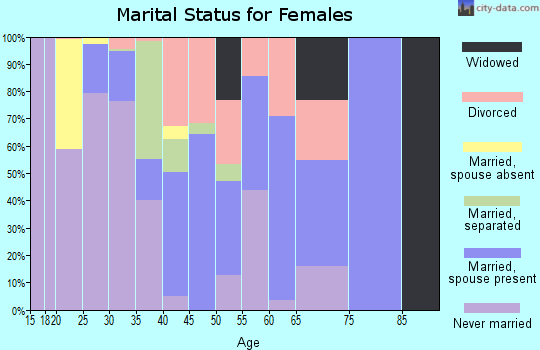 Zip code 19941 marital status for females