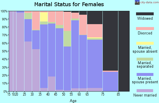 Zip code 19950 marital status for females